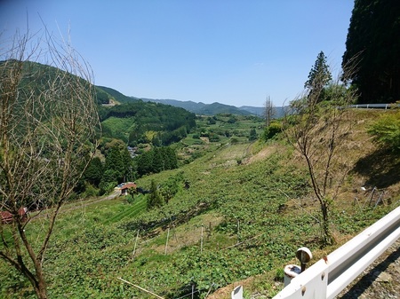 20190523-2.jpg