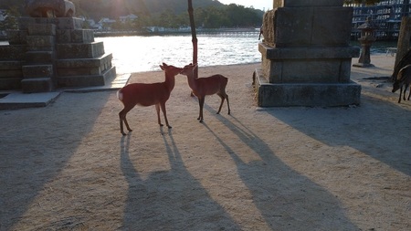 20201203-11.jpg